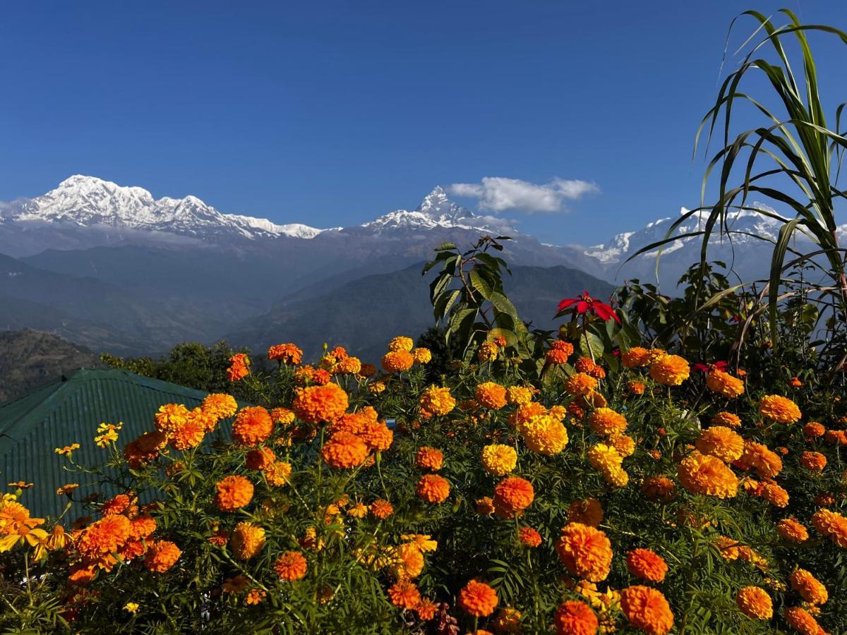 Es Deurali Resort Pokhara Eksteriør billede